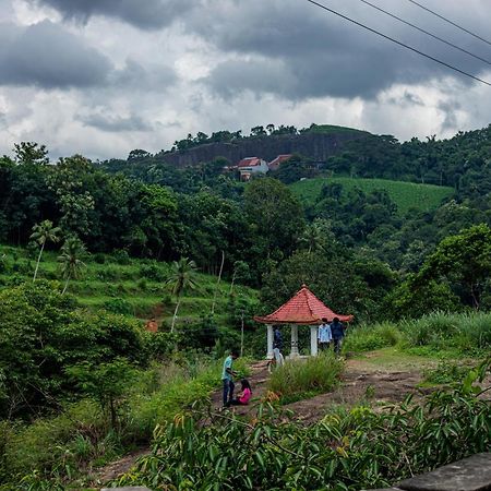 Aruvikuzhy Waterfalls Villa Kozhancheri エクステリア 写真