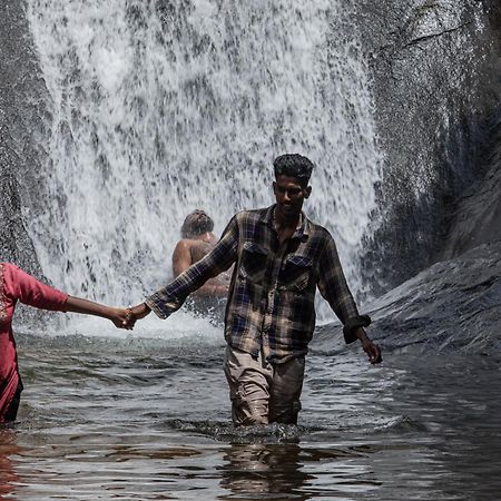 Aruvikuzhy Waterfalls Villa Kozhancheri エクステリア 写真