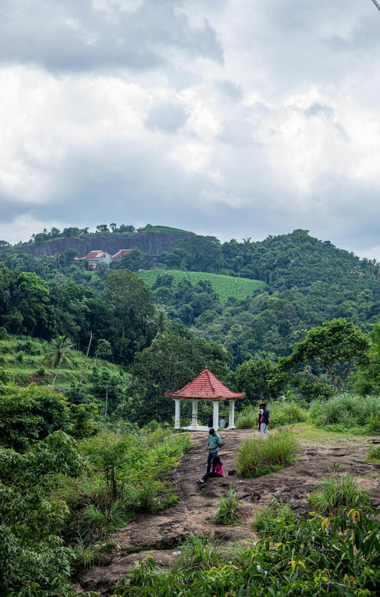 Aruvikuzhy Waterfalls Villa Kozhancheri エクステリア 写真