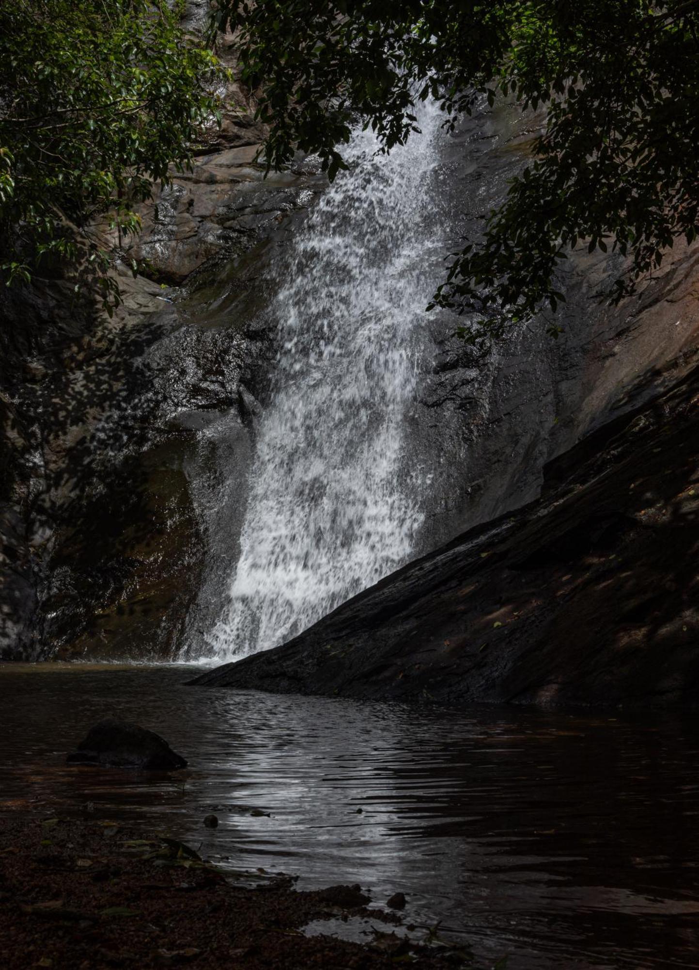 Aruvikuzhy Waterfalls Villa Kozhancheri エクステリア 写真