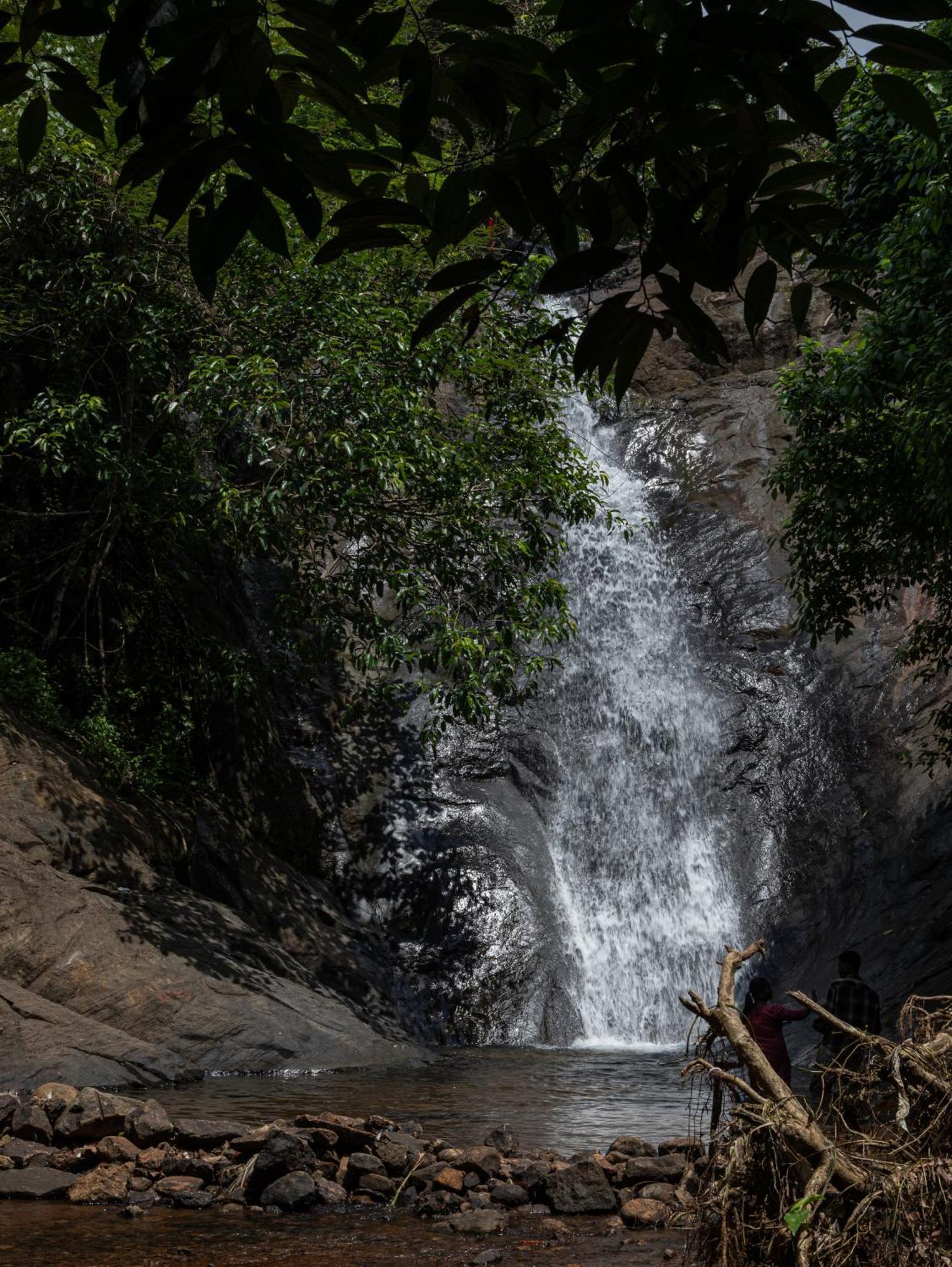 Aruvikuzhy Waterfalls Villa Kozhancheri エクステリア 写真